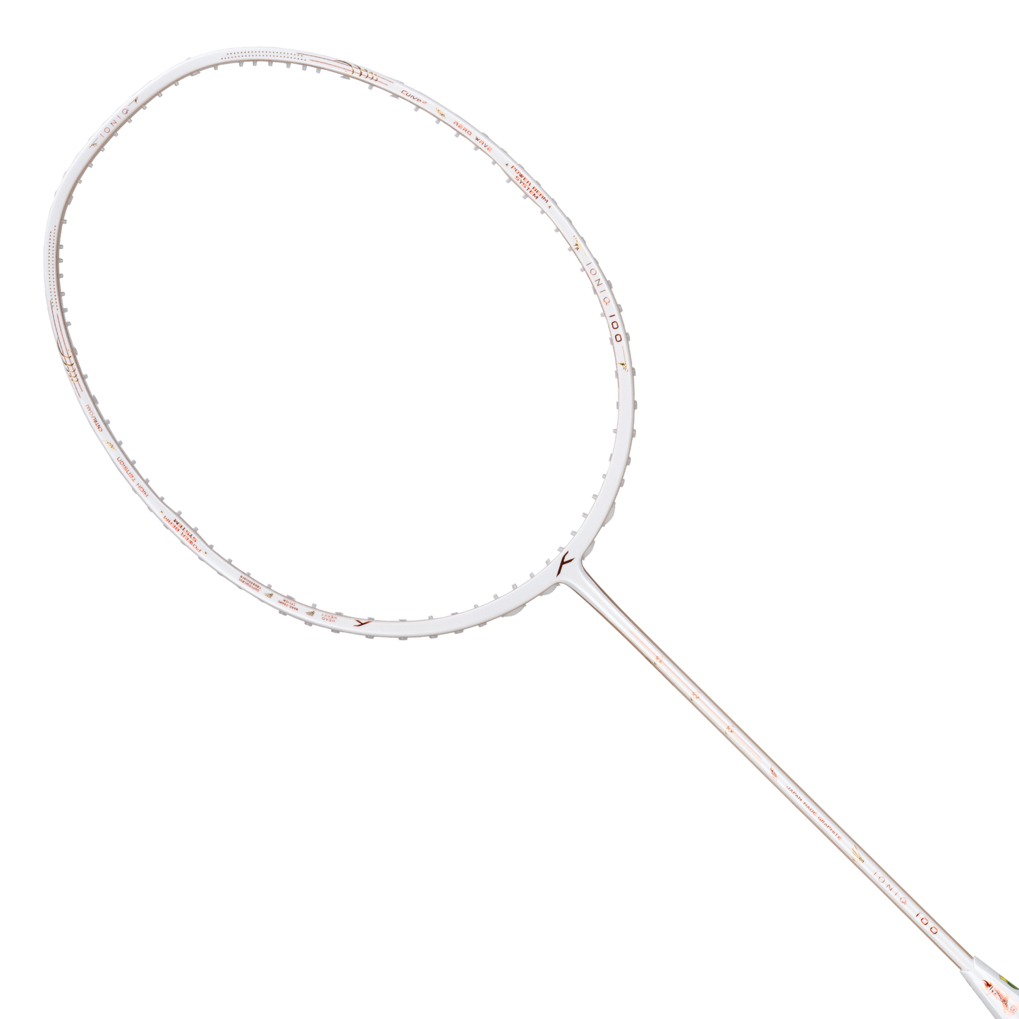 IONIQ 100 LTD