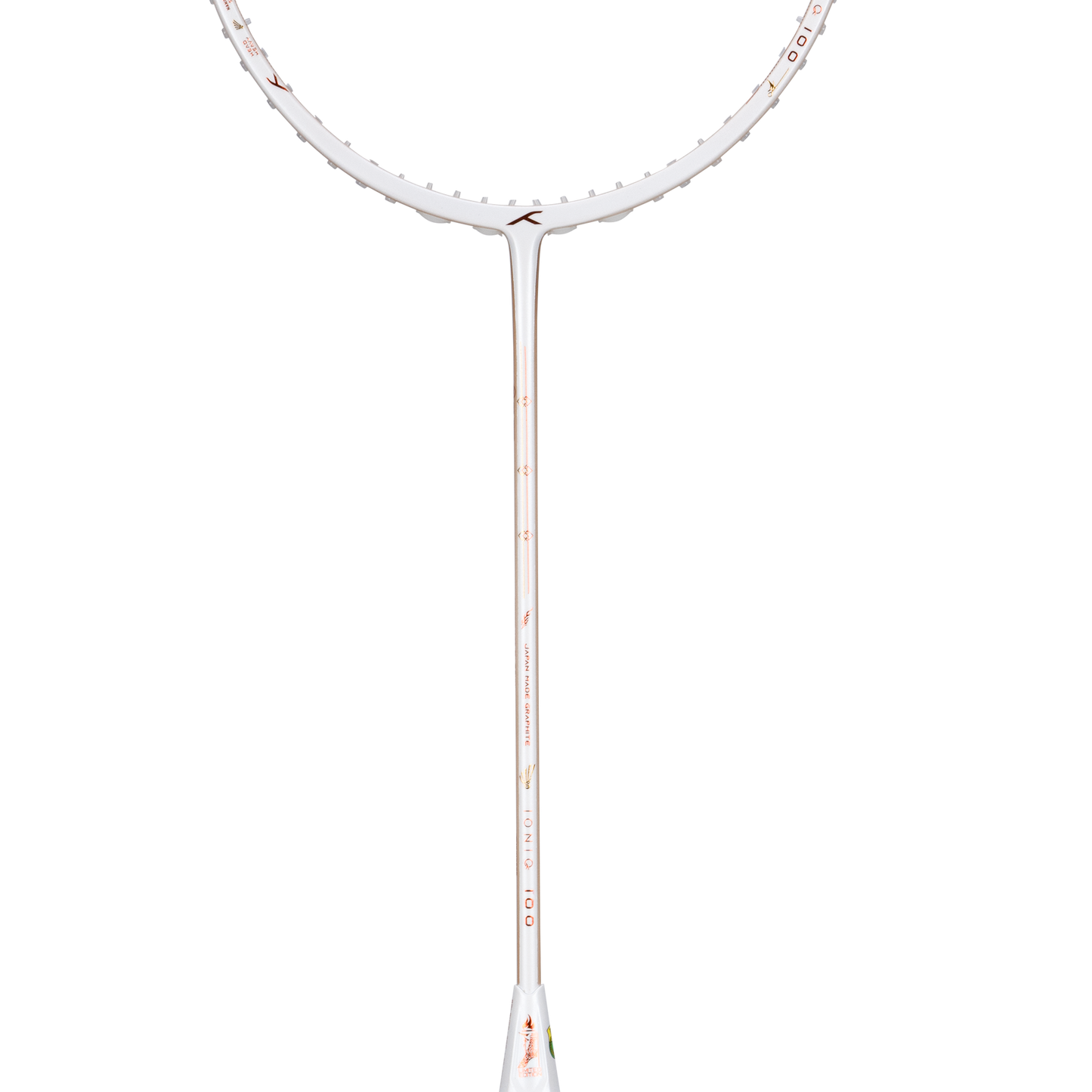 IONIQ 100 LTD