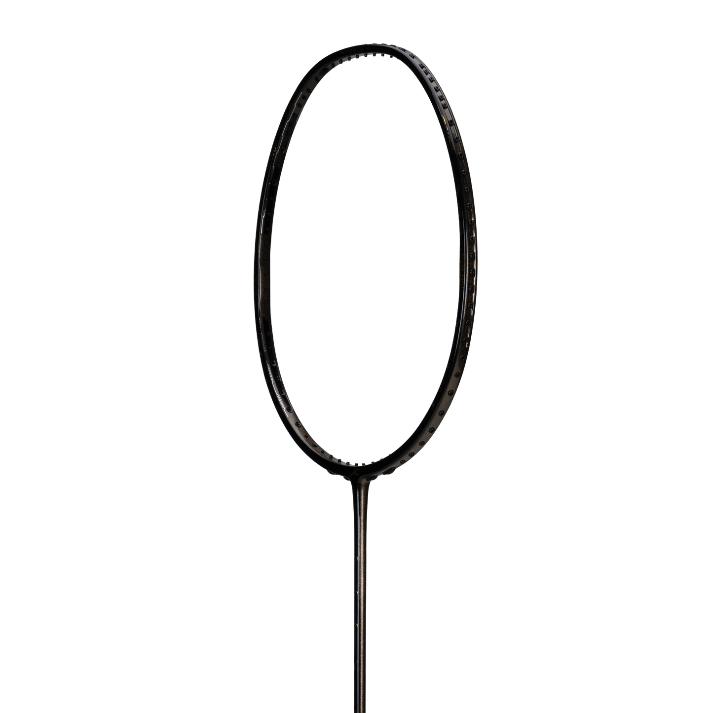 IONIQ 100 LTD