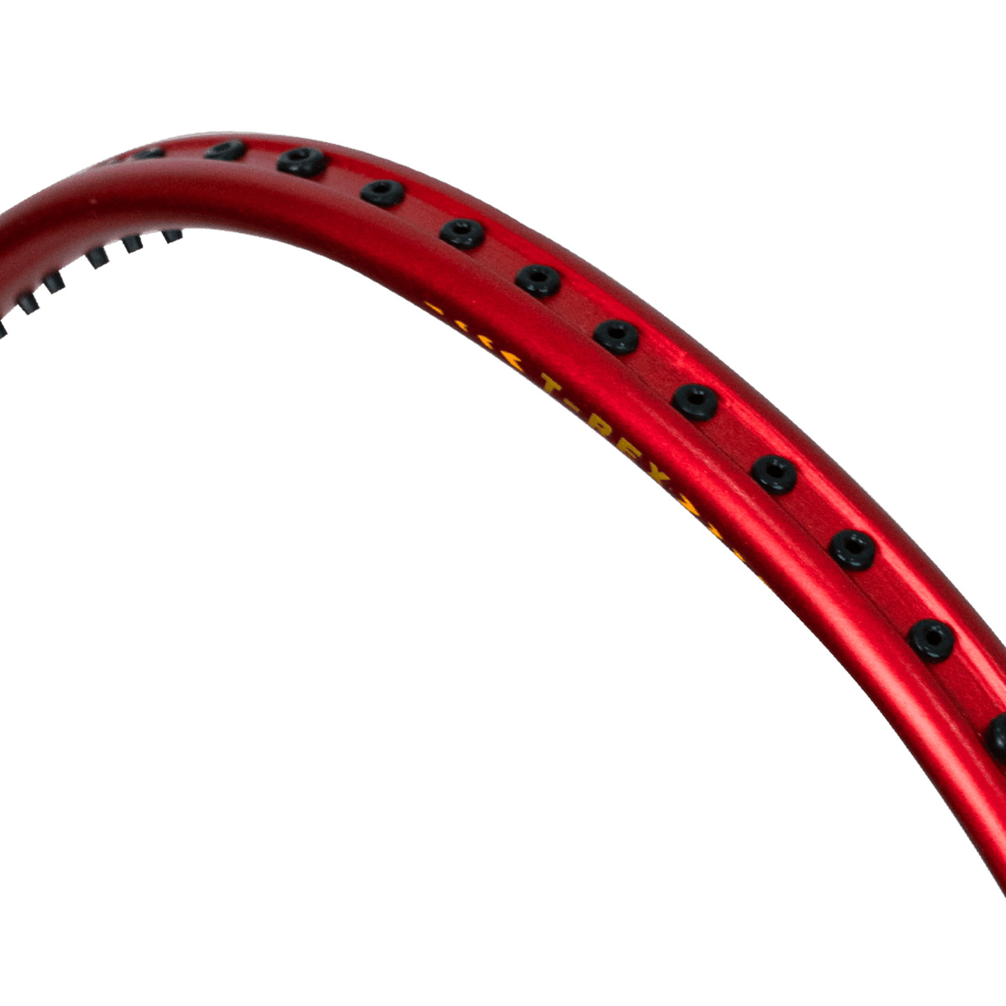 T-REX 800-Dark Red