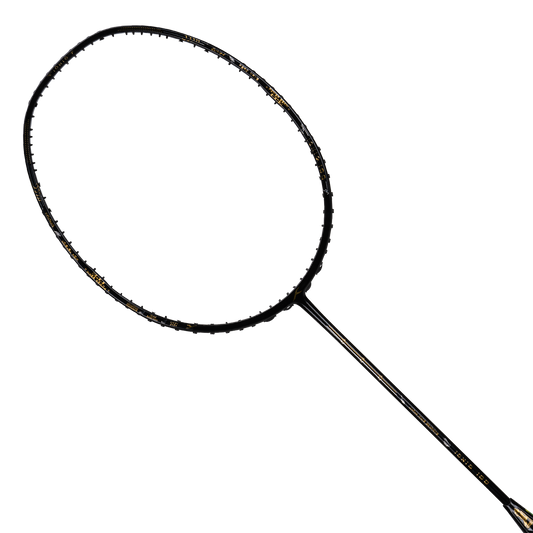 IONIQ 100 LTD