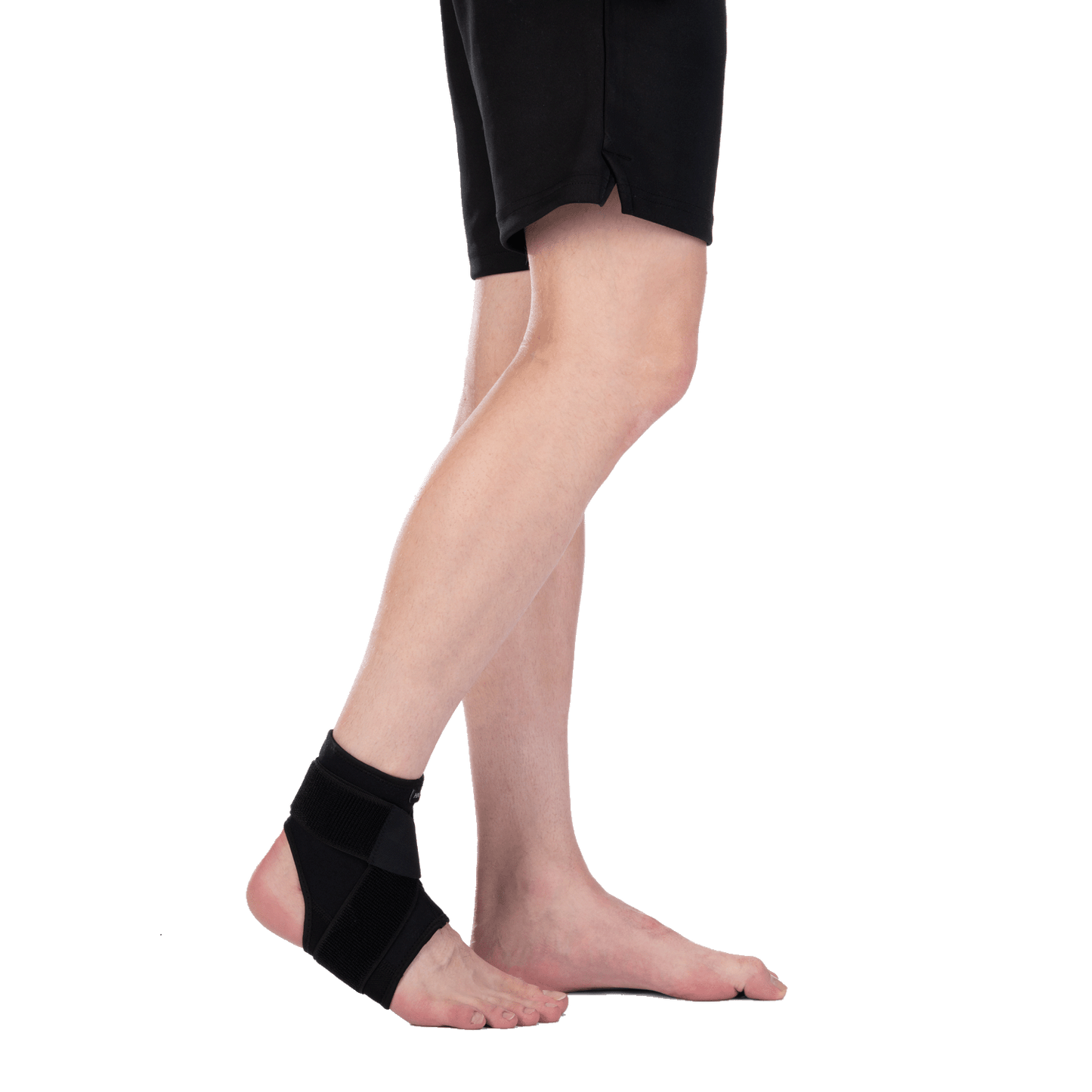 Active Ankle Stabilizer